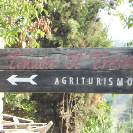 Tenuta Il Tresto Poggibonsi Eksteriør bilde