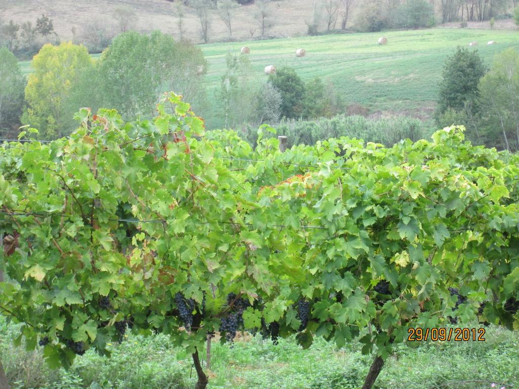 Tenuta Il Tresto Poggibonsi Eksteriør bilde